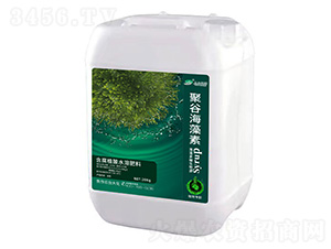 �۹Ⱥ�����-���_(t��i)��