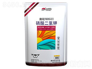 ħ����������-���_(t��i)��