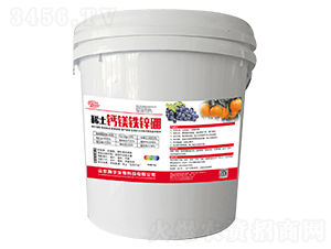 ϡ���}�V�F�\��-����S-�������