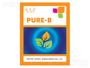 ���ϡ�����-˹�ɷ�-�������