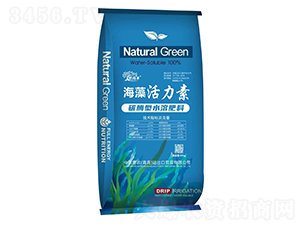 ���������-����S-�������