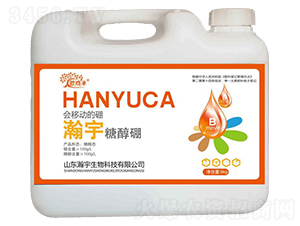 ����Ǵ���-����S-�������