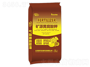 �VԴ�S�����-����S-�������