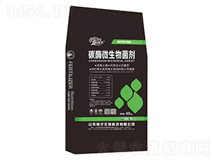 40kg̼ø΢�������-����S-�������