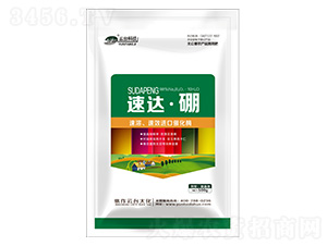 ���_(d��)����-���_��