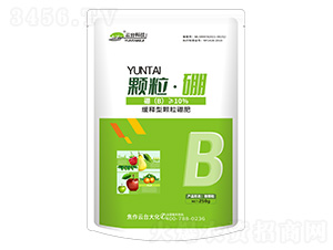 �w������-���_��