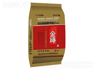 ���_���ך��[ԭ��]-��u-���_��