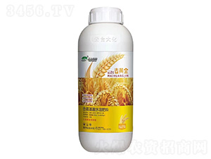 ���_���S��-���_��