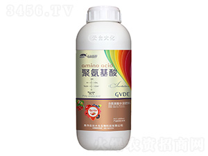 �۰�����-���_��