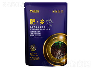 �ʡ��l(xi��ng)-���_��