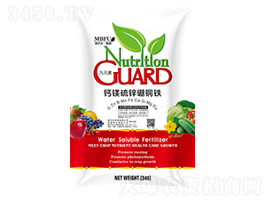 �}�V���\���~�F-���ͷ�