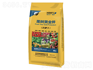 �����S���-���ͷ�