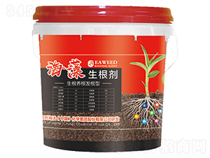 ����������-���ͷ�