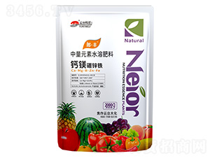 �}�V���\�F2000g-���_��