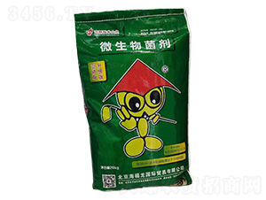 ����֬΢�������-��������