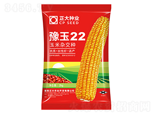 ԥ��22-���׷N��-����N�I(y��)