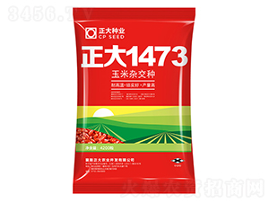 ����1473-���׷N��-����N�I(y��)