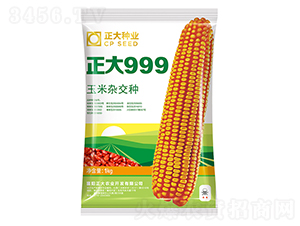 ����999-���׷N��-����N�I(y��)