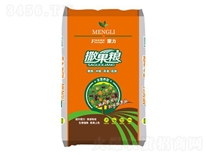 ���������Zȫ�I�B(y��ng)�ͣ��w����-�͝��r(n��ng)�I(y��)