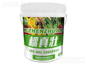 �����-�͝��r(n��ng)�I(y��)