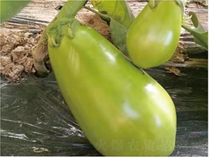 �͝��G��1̖-���ӷN��-�͝��r�I(y��)