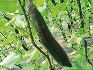 ����һ̖-���ӷN��-�͝��r�I(y��)