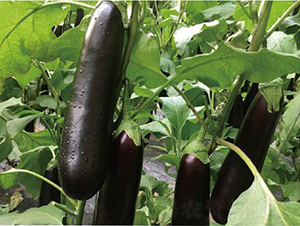 �͝��L��һ̖-���ӷN��-�͝��r�I(y��)