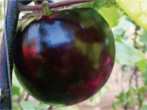 �A��480-���ӷN��-�͝��r�I(y��)