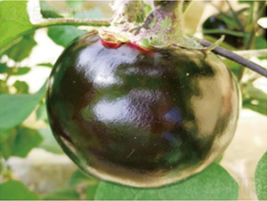 �A��460-���ӷN��-�͝��r�I(y��)