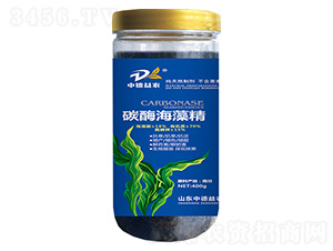 ̼ø���徫-�е����r(n��ng)