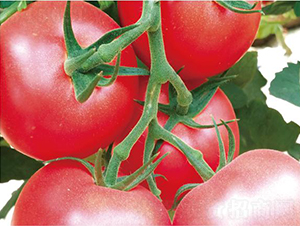 �hķ097-���ѷN��-�͝��r(n��ng)�I(y��)