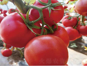 ������2155-���ѷN��-�͝��r(n��ng)�I(y��)