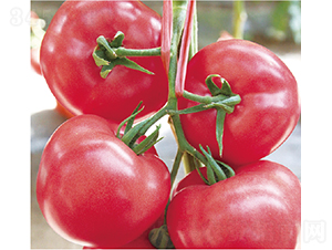 �hķ1699-���ѷN��-�͝��r(n��ng)�I(y��)