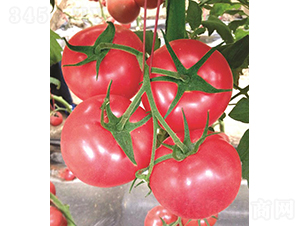 �hķ053-���ѷN��-�͝��r(n��ng)�I(y��)