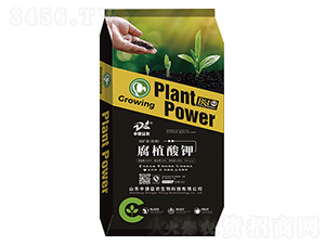 ��ֲ���-�е����r(n��ng)