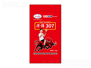 �A��307С���N��-�S��N��