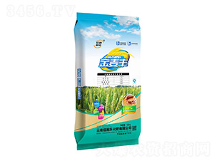 ��(f��)�Ϸ���30-5-5-�����S-��ʩ������