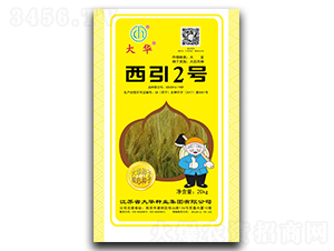 ����2̖-С���N��-���A�N�I(y��)