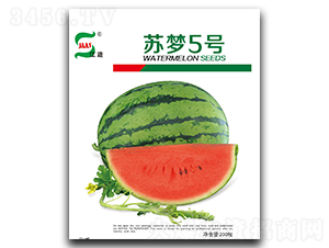 �K��5̖-���ϷN��-���A�N�I(y��)