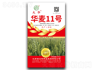 �A��11̖-С���N��-���A�N�I(y��)