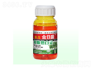 ޼����������`-����ʢ-��Դ��ʘI(y��)