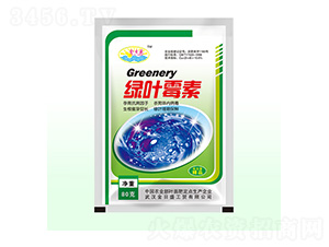 �G�~ù��-����ʢ-��Դ��ʘI(y��)