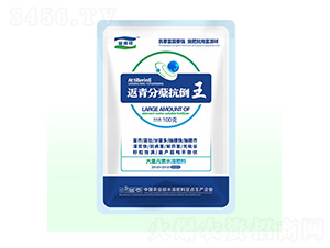 ������Y������-��Դ��ʘI(y��)