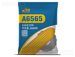 A6565-���׷N��