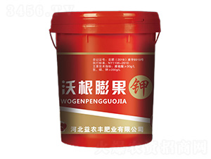 �ָ�����-���r(n��ng)�S�ʘI(y��)