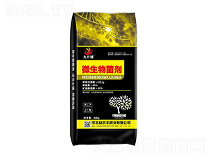 ΢�������-��Ƭ�G-���r(n��ng)�S�ʘI(y��)