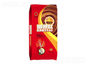 10�|΢�������-��΢��-���r(n��ng)�S�ʘI(y��)