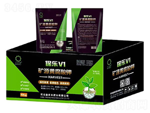 �VԴ�S�����-����V1-��Ƭ�G-���r�S�ʘI(y��)