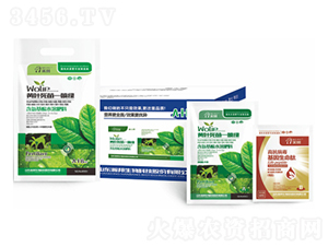 �S�~����һ���G-嫰�����