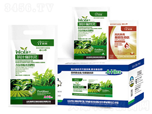 ���~��ѿ�`-嫰�����